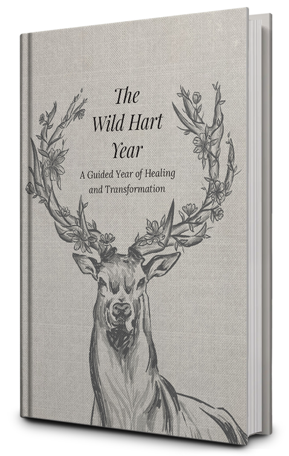The wild heart year